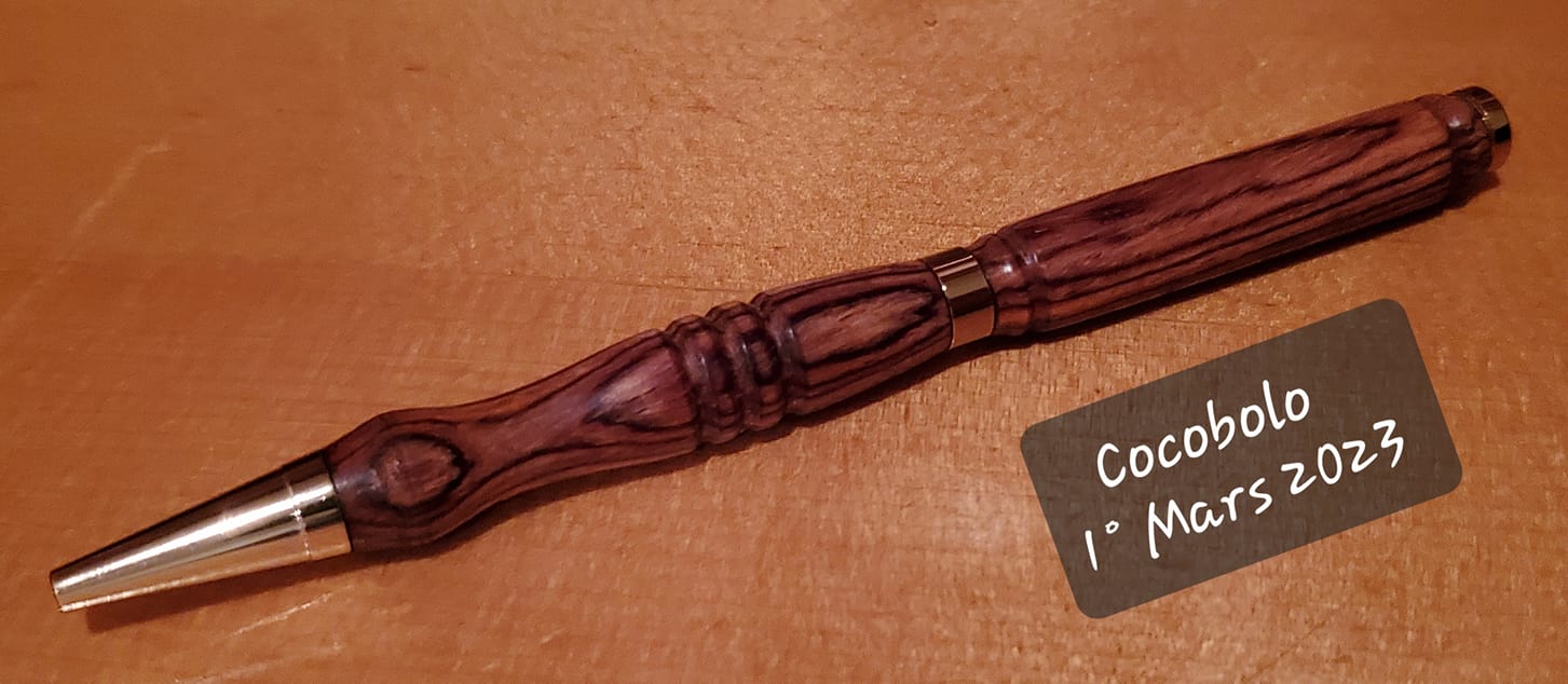 Stylo en cocobolo — Mars 2023